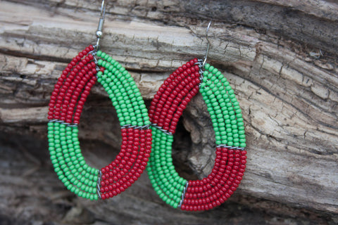 Colourful Threaded  and Beaded Earrings